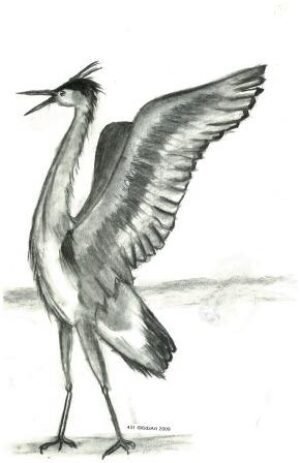 r431GreyHeron