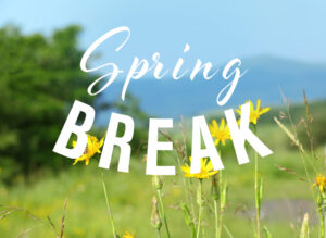 Text,Spring,Break,On,Nature,Background.,Additional,Education,Concept
