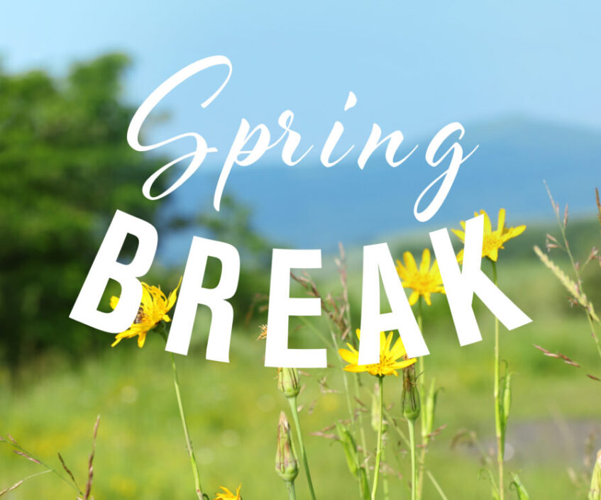 Text,Spring,Break,On,Nature,Background.,Additional,Education,Concept
